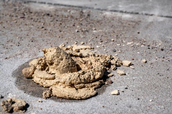 Cost of Driveway Slab Leveling in Rogers